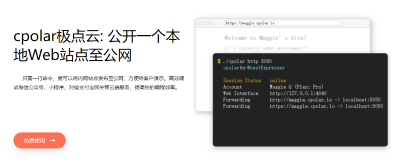 cpolar: 公开一个本地端口至公网